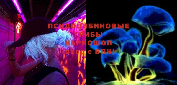 сатива Зеленокумск