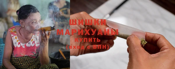 сатива Зеленокумск