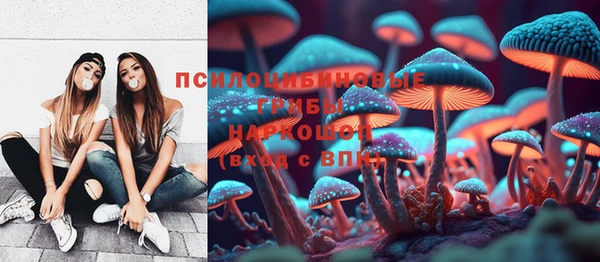 прущие крисы Зеленодольск