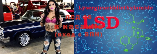 прущие крисы Зеленодольск