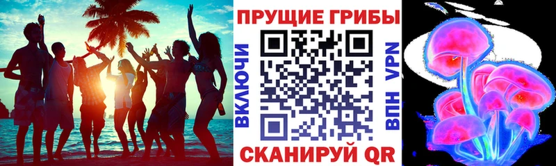 Купить  Краснослободск  Галлюциногенные грибы мухоморы 